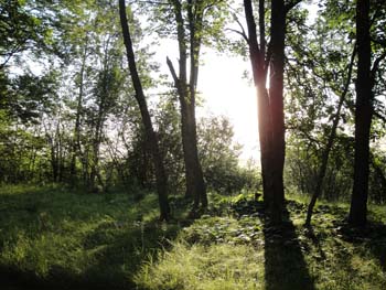 DSC00057