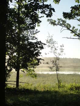 DSC00059