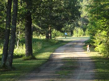 DSC00060