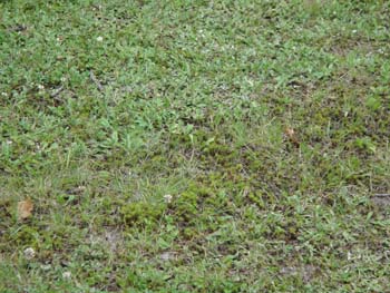 DSC00088