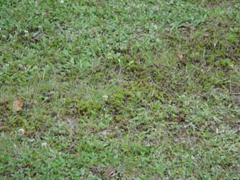 DSC00089