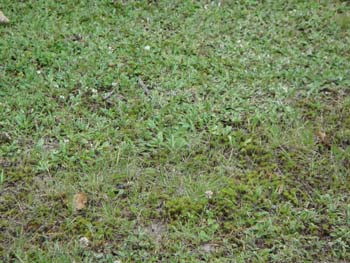 DSC00092