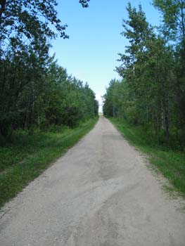 DSC00094