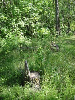 DSC00118