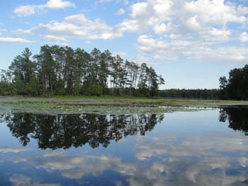DSC00189